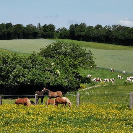 Gite Du Colombier Le Fied Bagian luar foto