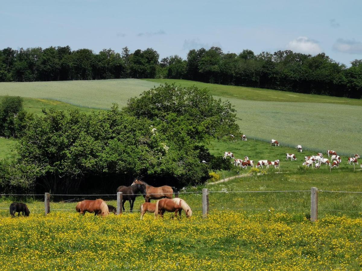 Gite Du Colombier Le Fied Bagian luar foto
