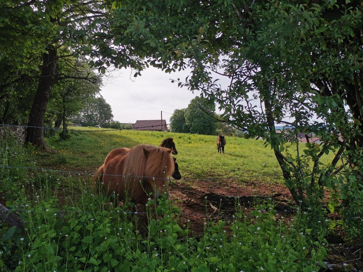 Gite Du Colombier Le Fied Bagian luar foto