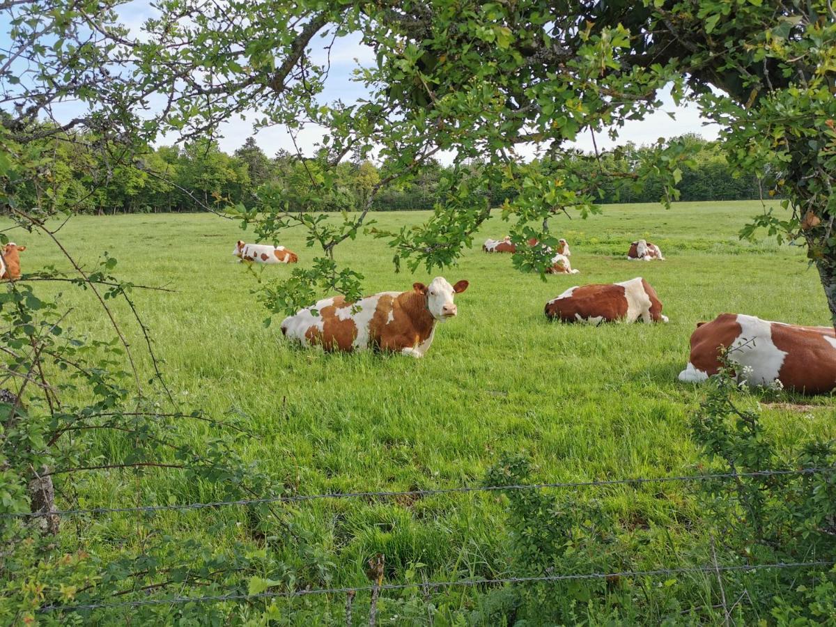 Gite Du Colombier Le Fied Bagian luar foto