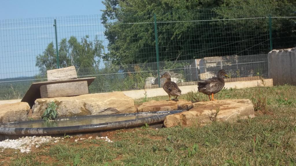 Gite Du Colombier Le Fied Bagian luar foto